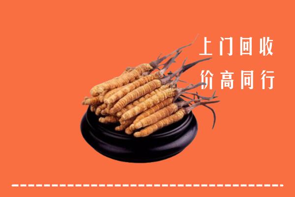 高价求购：桃江县回收散虫草