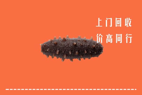 高价求购：桃江县回收海参