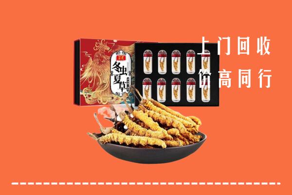 桃江县回收虫草